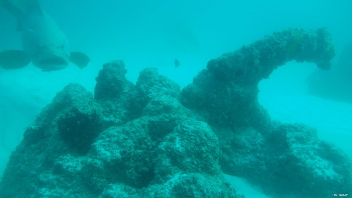 沈められた「リアル・ノーチラス」―4万人の名を刻み深海へ、海を守る存在として10年間、「現在の姿」は【LoL】