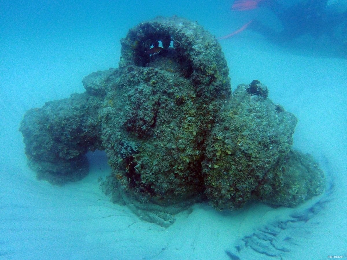 沈められた「リアル・ノーチラス」―4万人の名を刻み深海へ、海を守る存在として10年間、「現在の姿」は【LoL】