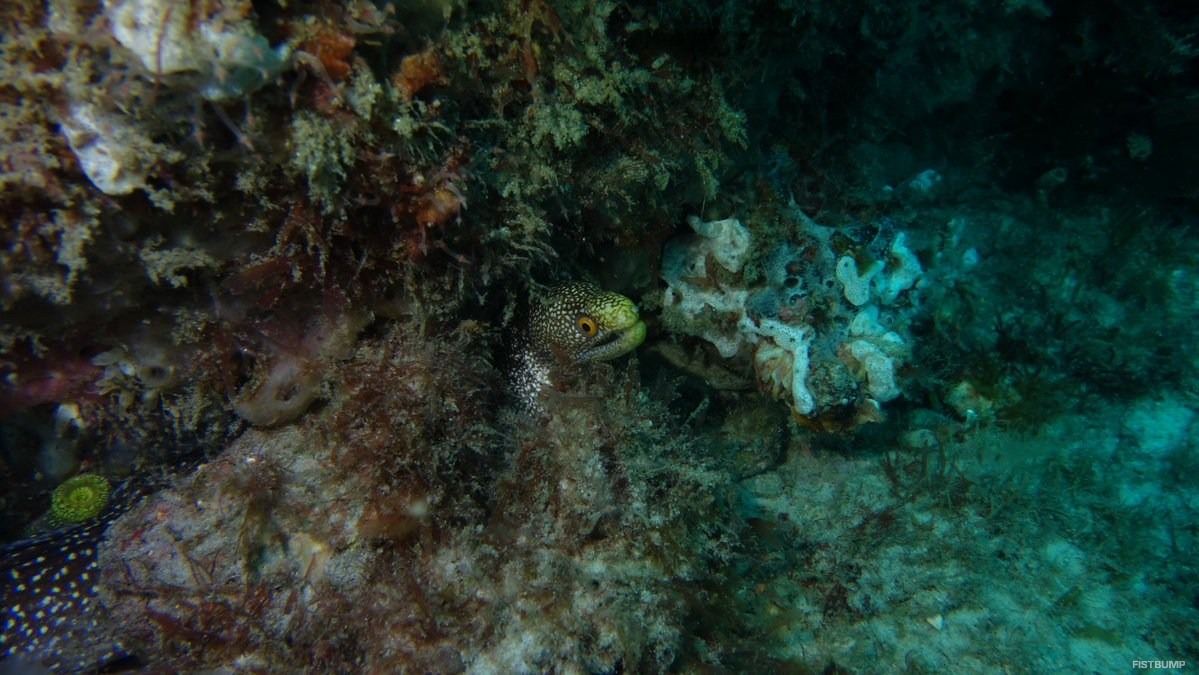 沈められた「リアル・ノーチラス」―4万人の名を刻み深海へ、海を守る存在として10年間、「現在の姿」は【LoL】