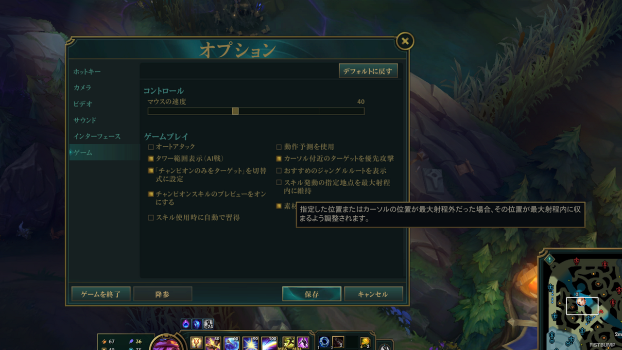 新登場の「チャンピオン別キー設定」活用していますか？個別設定がおすすめなスキルと、ついでに見直したい細かなオプションも紹介【リーグ・オブ・レジェンド】