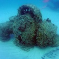 沈められた「リアル・ノーチラス」―4万人の名を刻み深海へ、海を守る存在として10年間、「現在の姿」は【LoL】